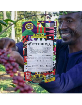 Caffè per FILTRO Shakiso 150gr in grani ETHIOPIA NATURALE