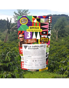 Caffè "La Carolina" Ecuador