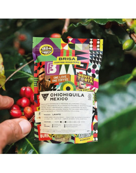 Caff&egrave; "Chichiquila" Espresso Messico