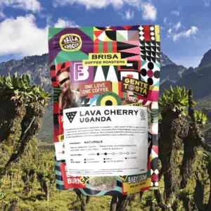 Caffè Filtro "Lava Cherry" Uganda