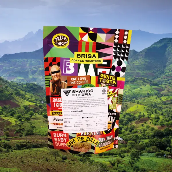 caffè-filtro-Etiopia-Shakiso-Brisa